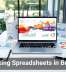 Rethinking Spreadsheets in Business